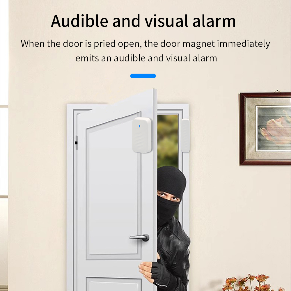 DS3 TTLOCK Wireless Remote Con - đánh giá và giá Home Security For Windows